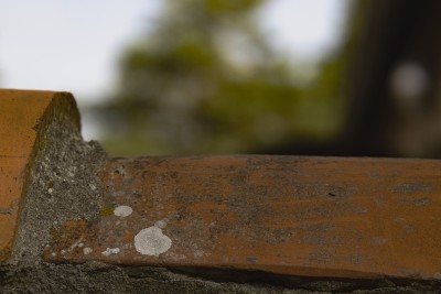 202203 darsser ort rundgang