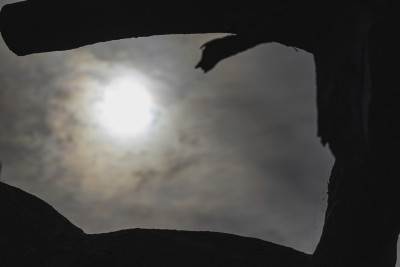 2022 13 darsser ort rundgang