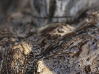 2022 10 13 darsser ort rundgang