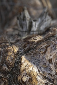 2022 10 13 darsser ort rundgang