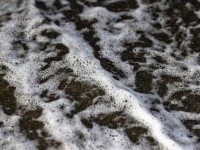 2022 10 13 darsser ort rundgang