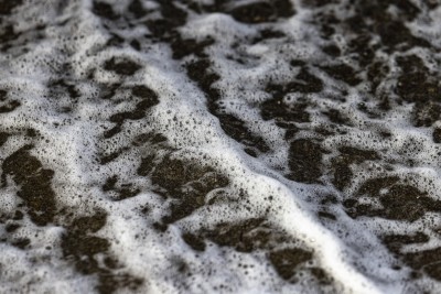 2022 10 13 darsser ort rundgang