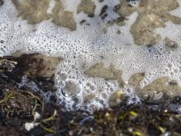 2022 10 darsser ort rundgang