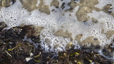 2022 10 darsser ort rundgang