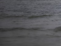 2022 10 13 darsser ort rundgang