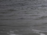 2022 10 13 darsser ort rundgang