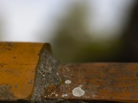 2022 10 13 darsser ort rundgang