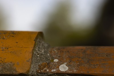 2022 10 13 darsser ort rundgang