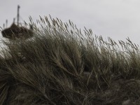 2022 10 13 darsser ort rundgang