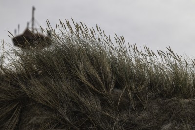 2022 10 13 darsser ort rundgang