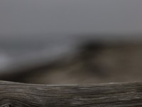 2022 10 13 darsser ort rundgang