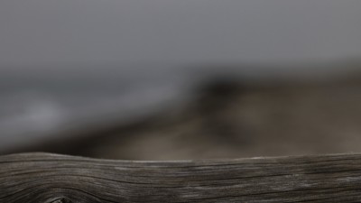 2022 10 13 darsser ort rundgang