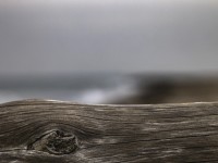 2022 10 13 darsser ort rundgang