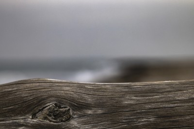 2022 10 13 darsser ort rundgang