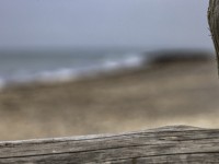 2022 10 13 darsser ort rundgang