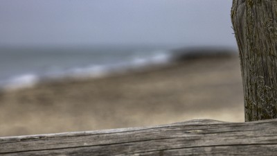 2022 10 13 darsser ort rundgang