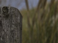 2022 10 13 darsser ort rundgang