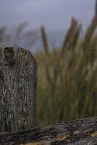 2022 10 13 darsser ort rundgang