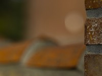 2022 10 13 darsser ort rundgang