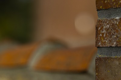 2022 10 13 darsser ort rundgang