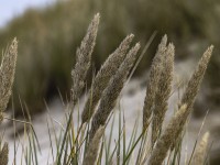 2022 10 13 darsser ort rundgang