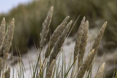 2022 10 13 darsser ort rundgang