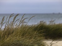 2022 10 13 darsser ort rundgang