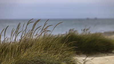 2022 10 13 darsser ort rundgang