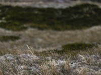 2022 10 13 darsser ort rundgang