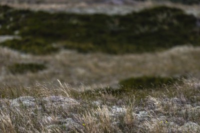 2022 10 13 darsser ort rundgang