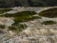 2022 10 13 darsser ort rundgang