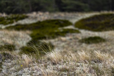 2022 10 13 darsser ort rundgang