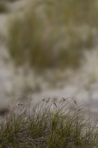 2022 10 13 darsser ort rundgang