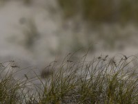 2022 10 13 darsser ort rundgang