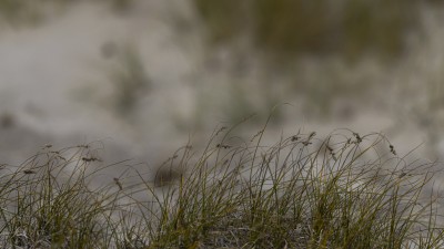 2022 10 13 darsser ort rundgang