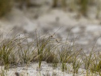 2022 10 13 darsser ort rundgang