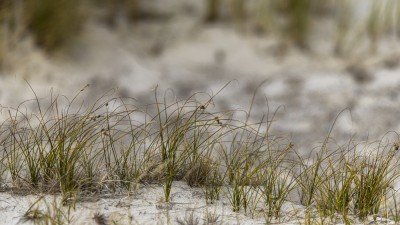 2022 10 13 darsser ort rundgang