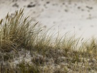 2022 10 13 darsser ort rundgang