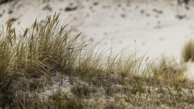 2022 10 13 darsser ort rundgang