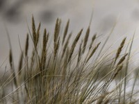 2022 10 13 darsser ort rundgang