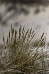 2022 10 13 darsser ort rundgang