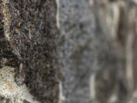 2022 10 13 darsser ort rundgang