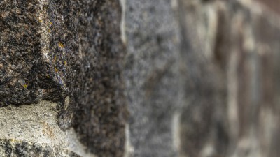 2022 10 13 darsser ort rundgang