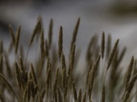 2022 10 13 darsser ort rundgang