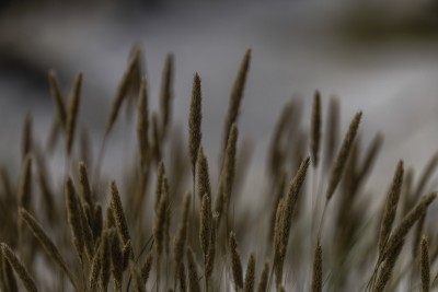 2022 10 13 darsser ort rundgang