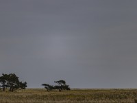 2022 10 13 darsser ort rundgang