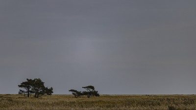 2022 10 13 darsser ort rundgang