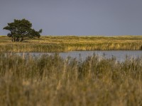 2022 10 13 darsser ort rundgang