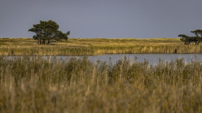 2022 10 13 darsser ort rundgang