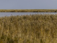 2022 10 13 darsser ort rundgang